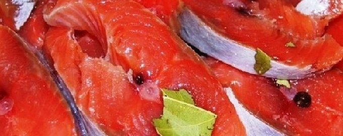 Cómo encurtir salmón rosado en casa de forma rápida y sabrosa.